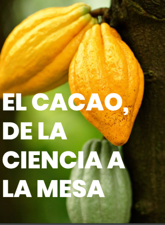 El cacao, de la ciencia a la mesa